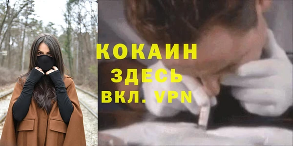 а пвп мука Дмитриев