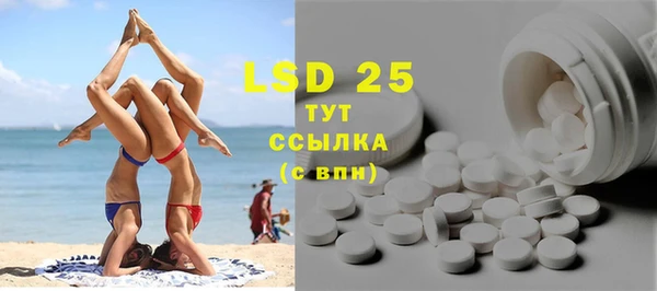 стаф Елизово