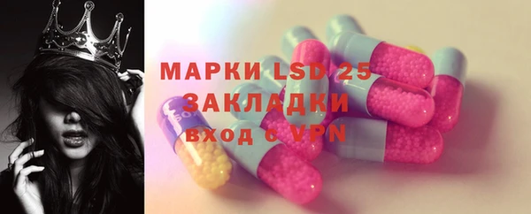 стаф Елизово