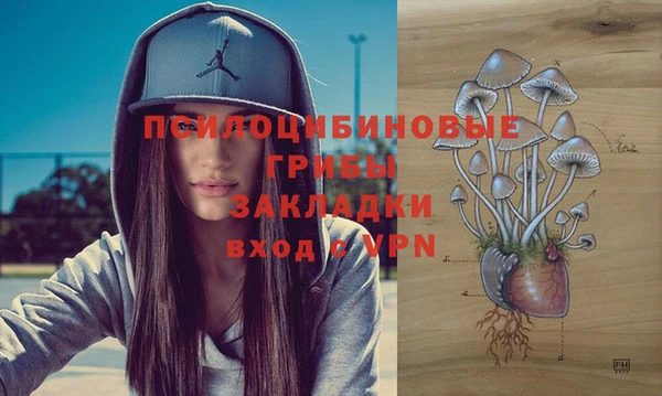 Альфа ПВП Ельня