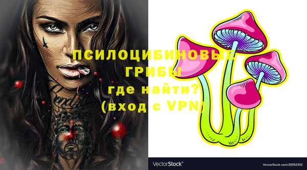 прущая мука Елабуга