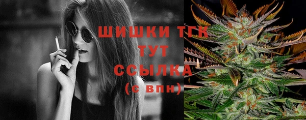 Альфа ПВП Ельня