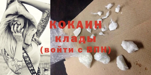 Альфа ПВП Ельня